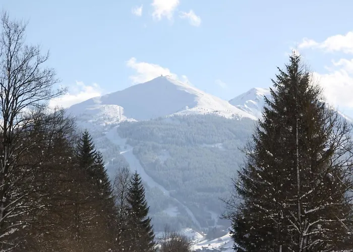 Lägenhet Walter By Interhome Bad Hofgastein